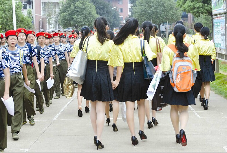高校专业排名，六大热门专业