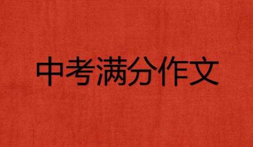中考满分作文大全集 为即将参加中考的你提供一点思路
