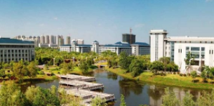 985大学升学‍情况分析