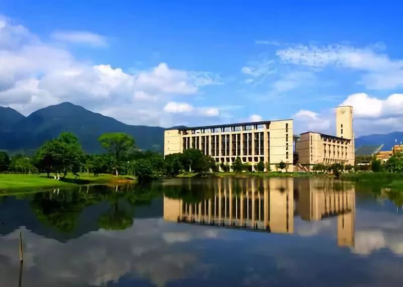 985大学升学规划有哪些好处？
