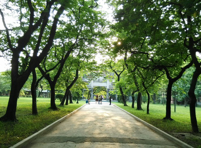 重点大学升学规划的作用是什么? 重点大学升学规划的作用是什么?