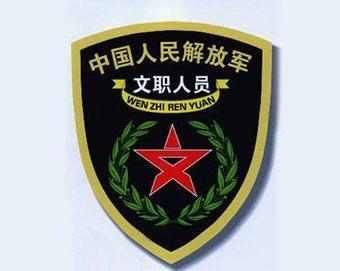 军队文职招聘考试要求