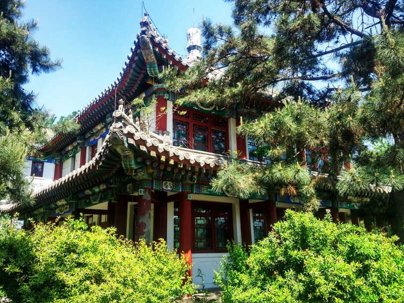 升学教育培训机构以及老师在教学中涉及的部分