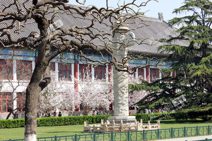 市面上北京学历提升培训所提供的服务项目