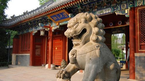 重点大学升学有哪些注意事项