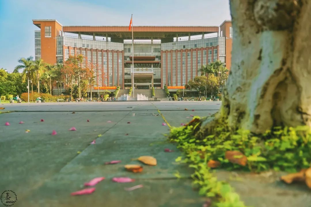 浅析重点大学升学的现状 浅析重点大学升学的现状
