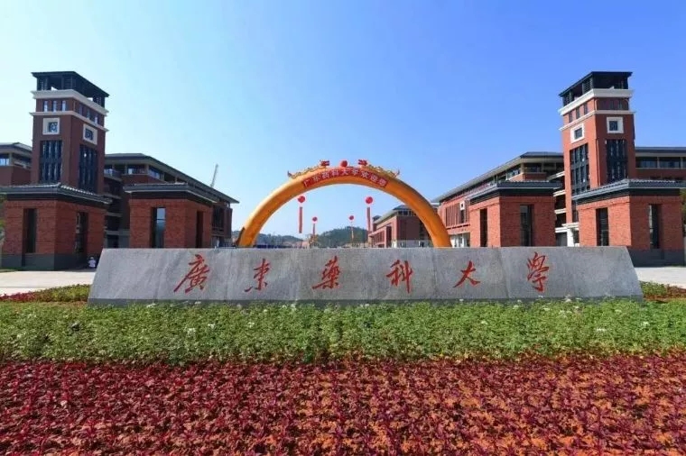 通过学历提升培训可以得到哪些好处？